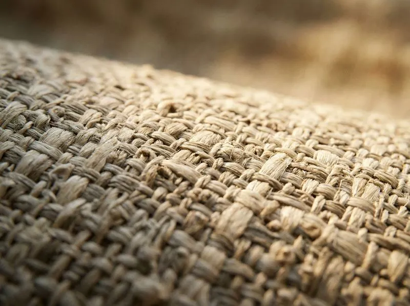 Close-up of luxury textured grasscloth wallpaper